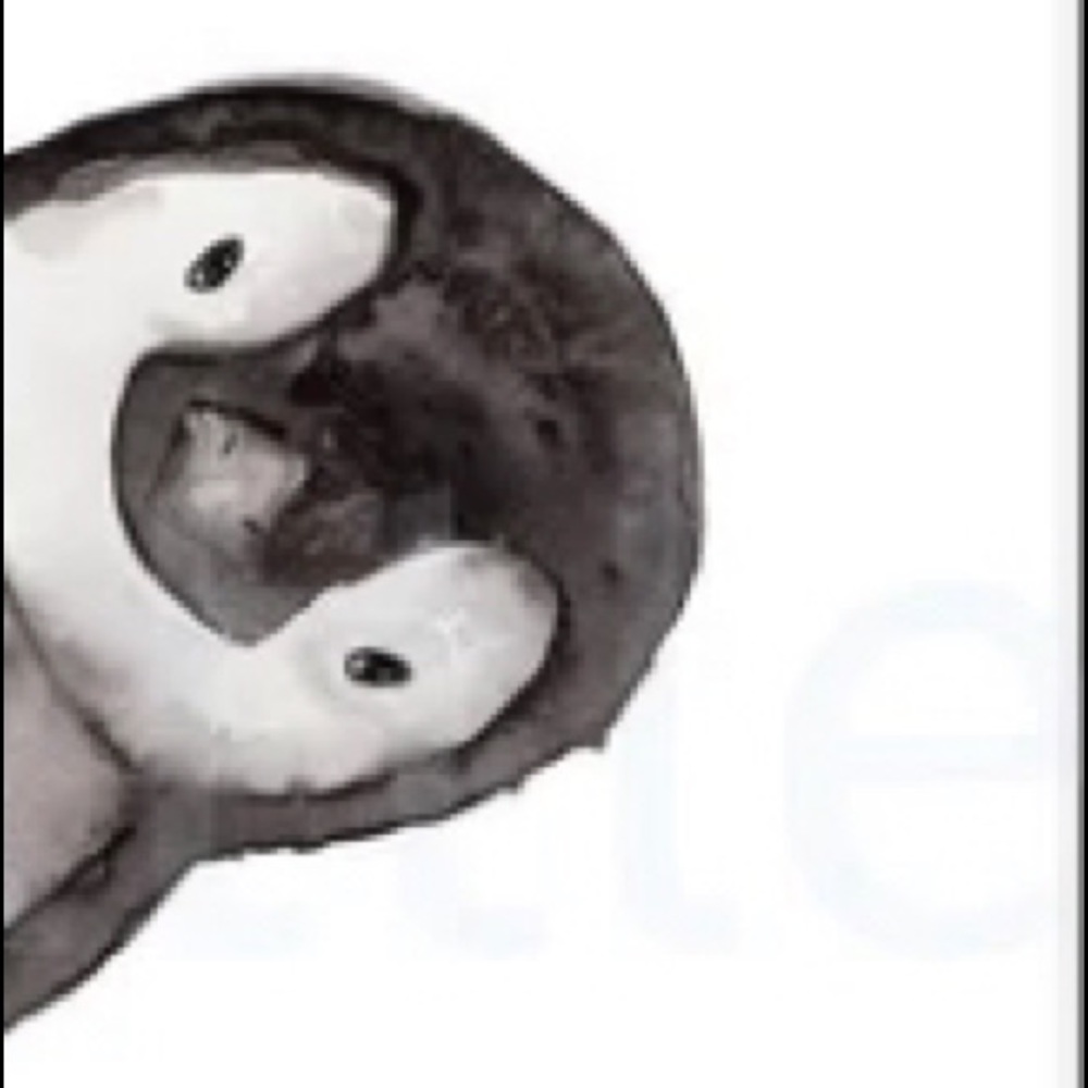 Meet your Posher, Bianca